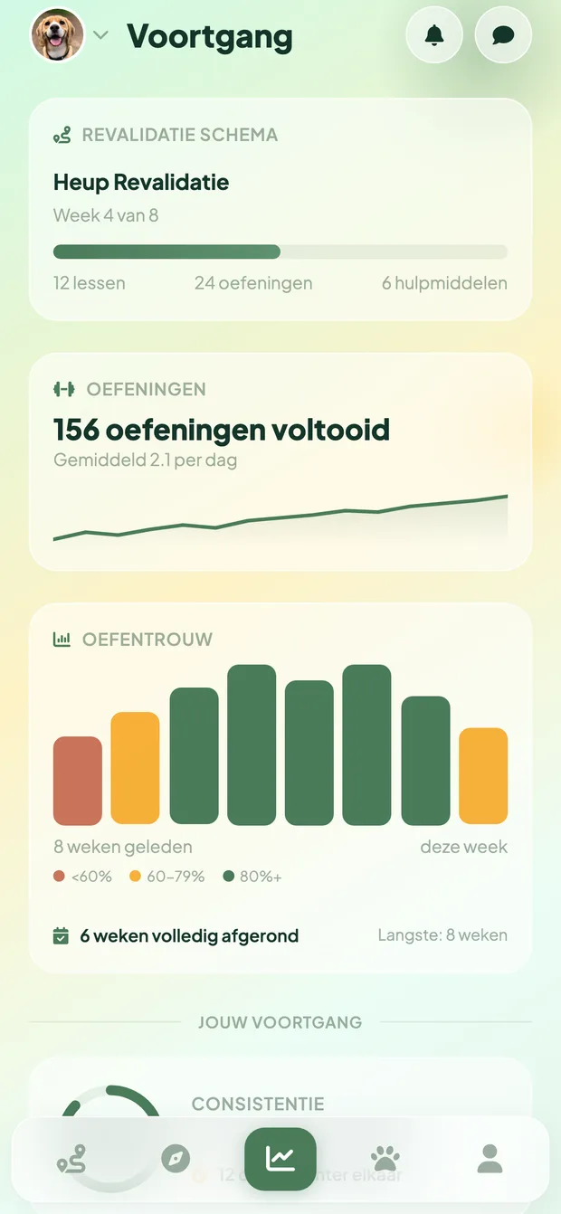 Vet Fysio voortgangsscherm met statistieken